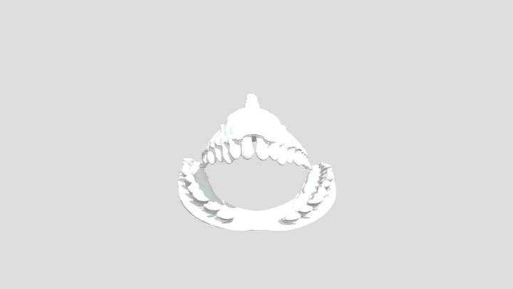 Skull 3D Model