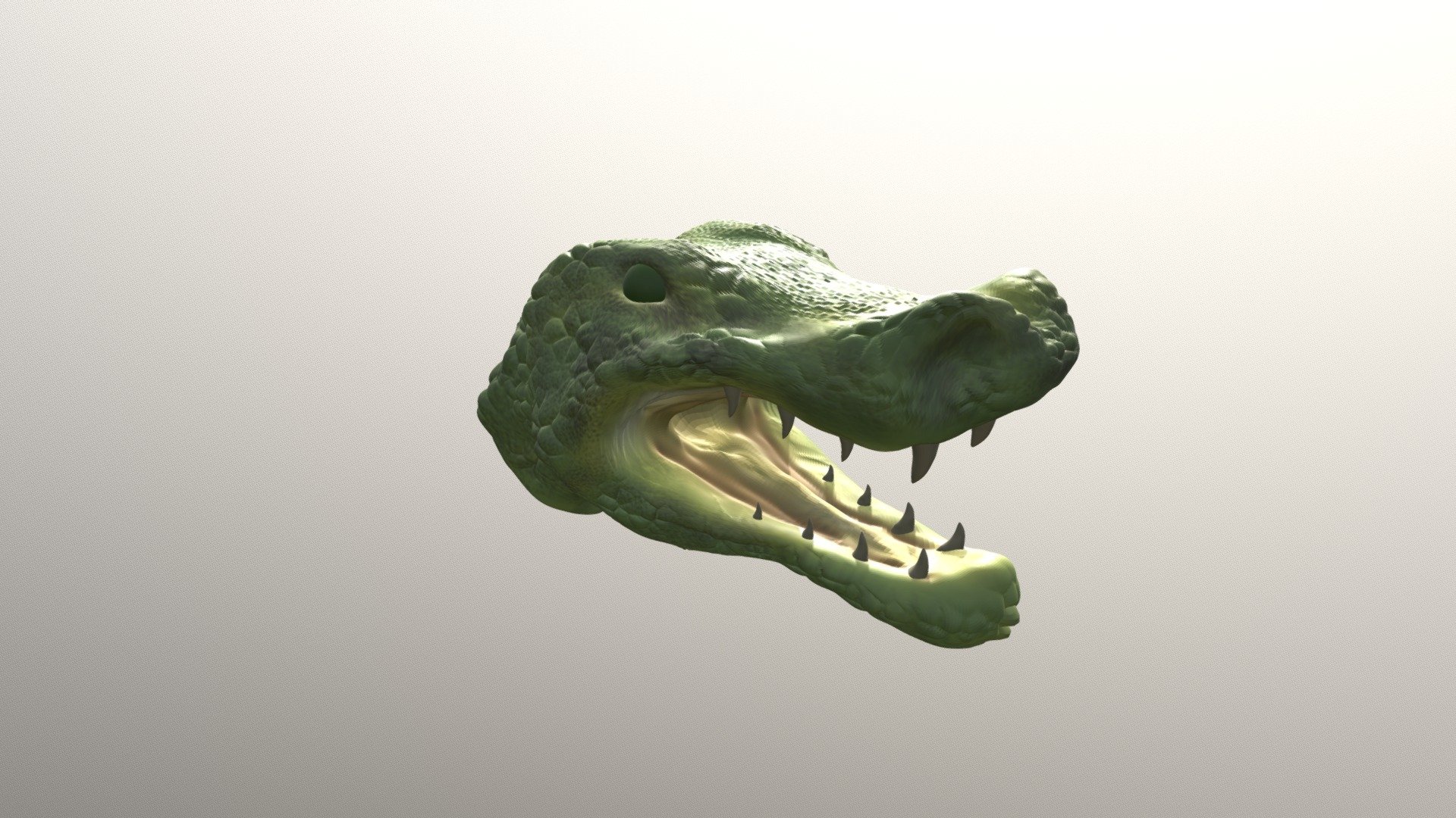 Dragon Head