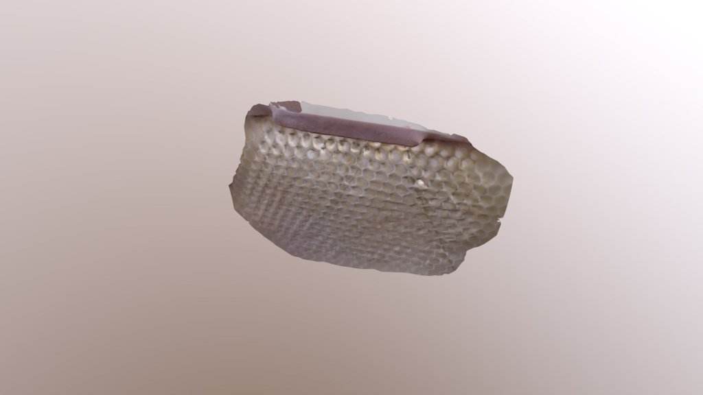 A TRNIO Model