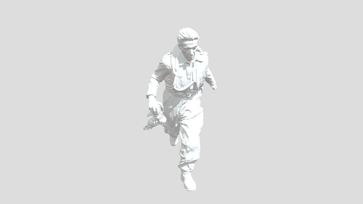 Aviator in Motion 3D Model