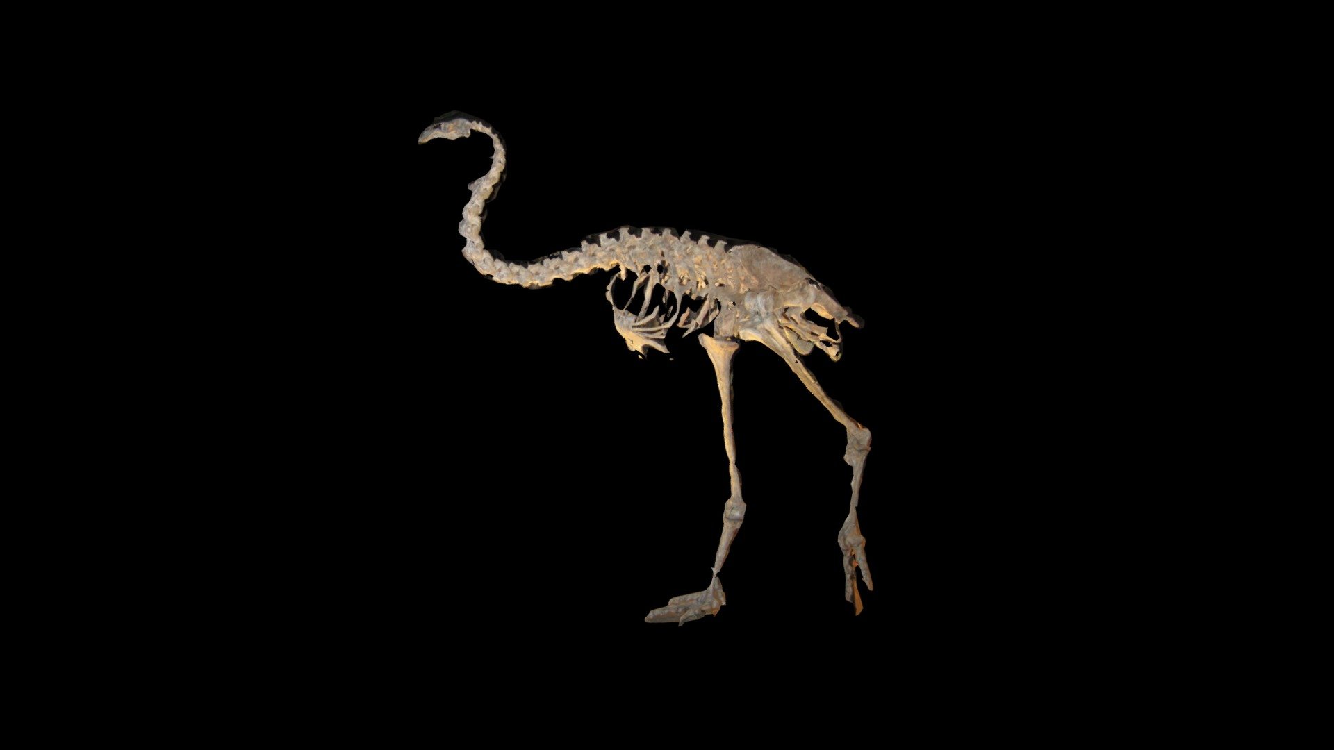 モア by K. Ishizaka — Sketchfab embed 3D viewer