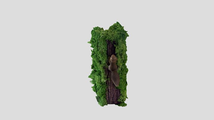 Tree Moss Book 3D Model
