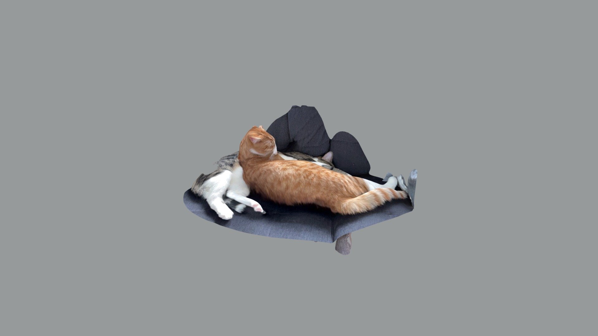 Miso + Taro Sleep