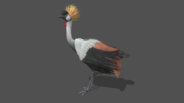 Animated Crane – 3D Animal Model – Modello 3D gratuito STL