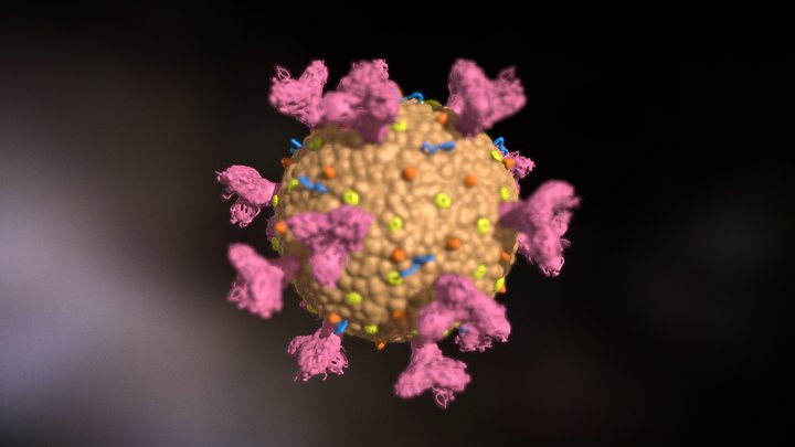 Highpoly Coronavirus (SARS-CoV-2) 3D Model