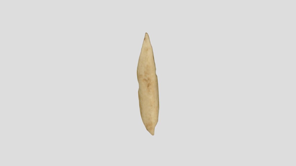 刺突具　fish spearhead
