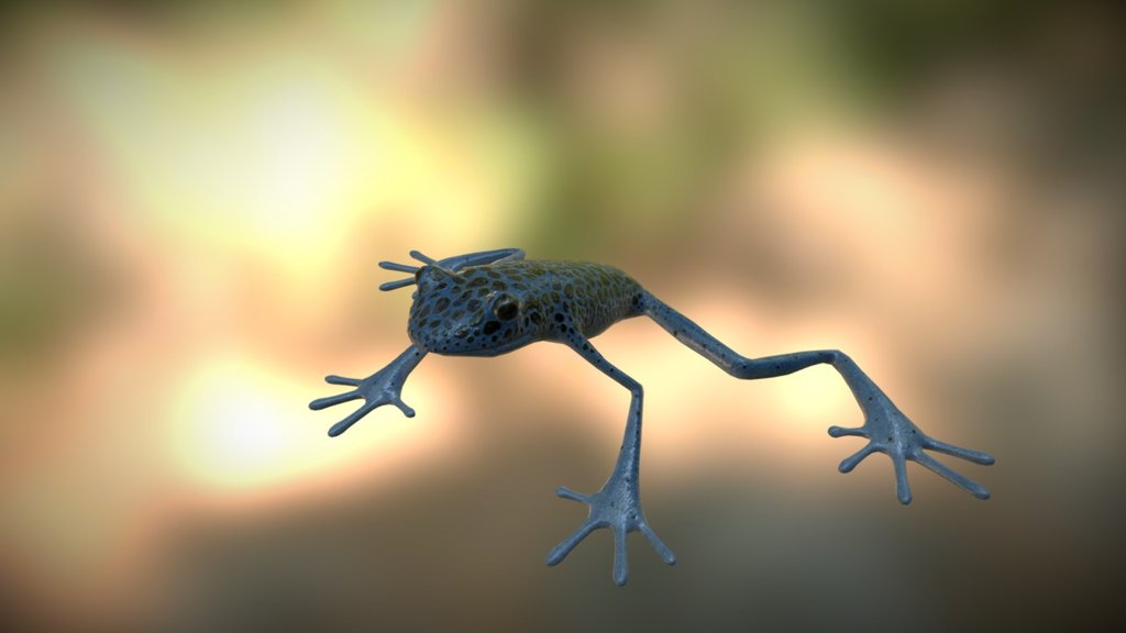 Frog Demo - 3D model by Frank Pereira (@flpereira) [bb1448d] - Sketchfab