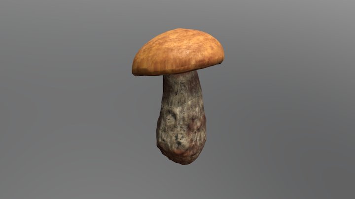 GART_CDV_Mushroom_02 3D Model