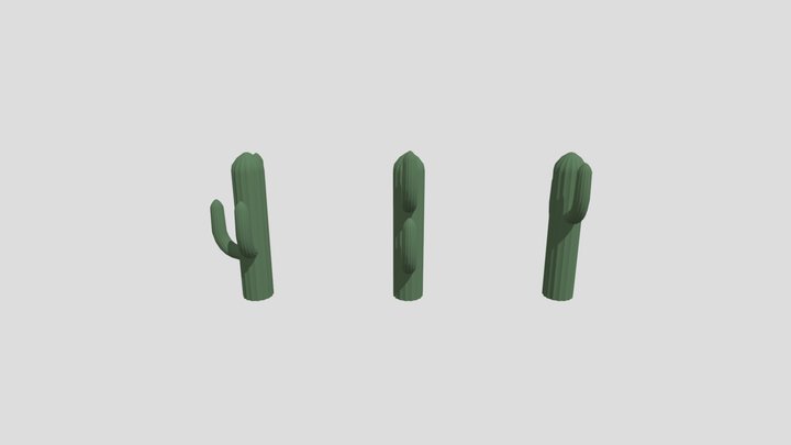 Saloon Cactus 3D Model