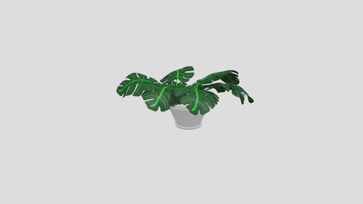 planta 2 3D Model