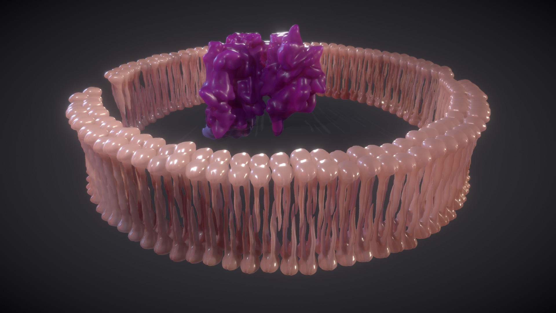 3D model Sodium Channel (Animated) - This is a 3D model of the Sodium Channel (Animated). The 3D model is about a pink and purple object.
