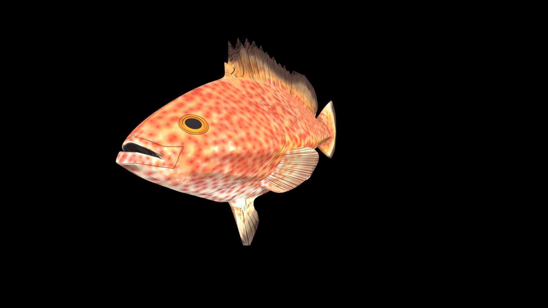 3D model Redhind Fish - This is a 3D model of the Redhind Fish. The 3D model is about a goldfish with a black background.