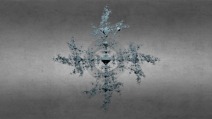 snowflake in 4D 3D Model