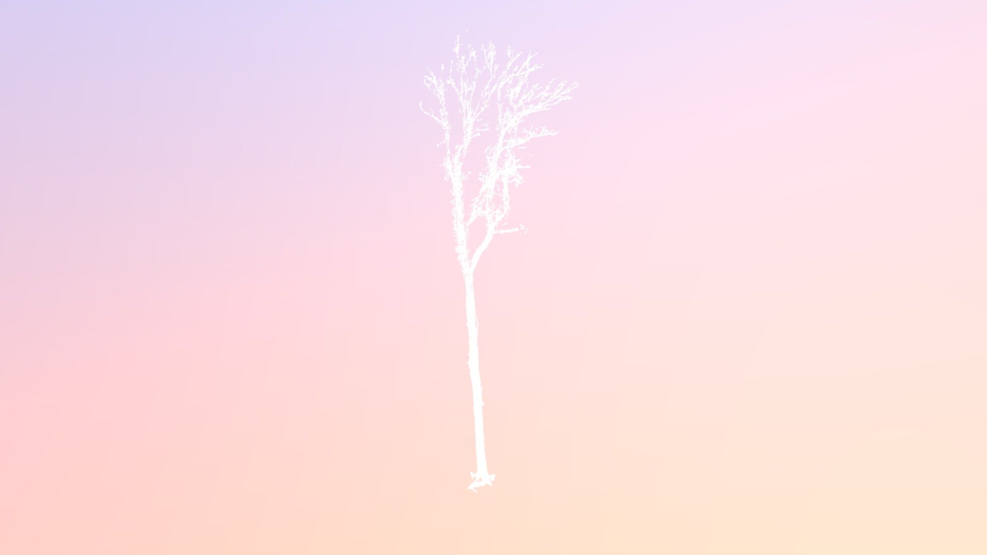 AEP33-tree_107.wood.ply