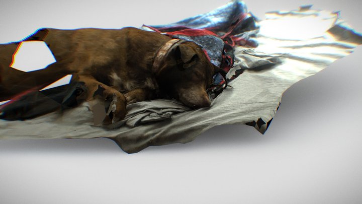 Maddie Girl 3D Model