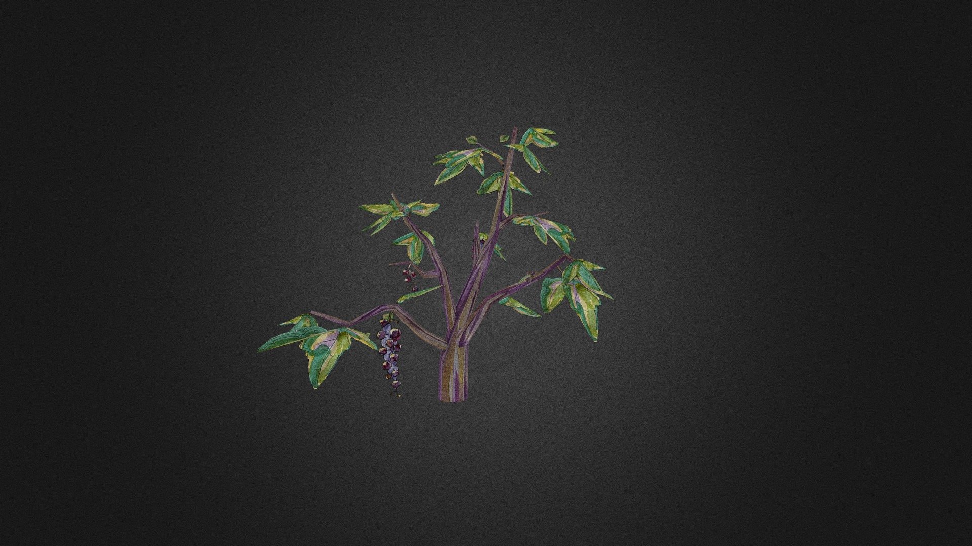 Currant bush