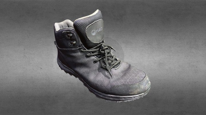 Halti Shoe 3D Model