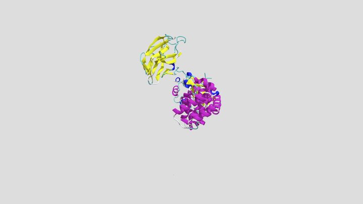 Conformational transition of Diphtheria toxin 3D Model