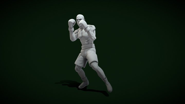 boxer_4 3D Model