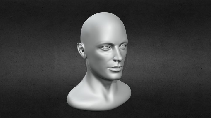 Male Head 2. Base Mesh 3D Model