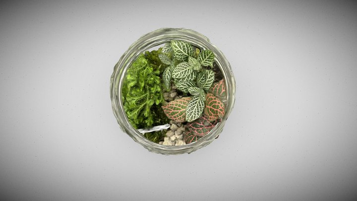 114-1CYUT微景觀生態瓶 3D Model