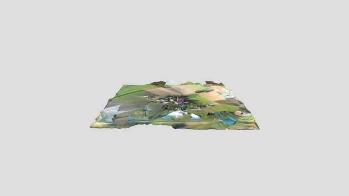 Fenek sa okolinom 3D Model