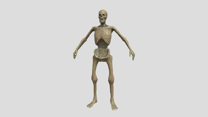 ZOMBIE CORPSE 3D Model