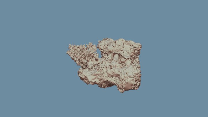 Coral0-1000k 3D Model