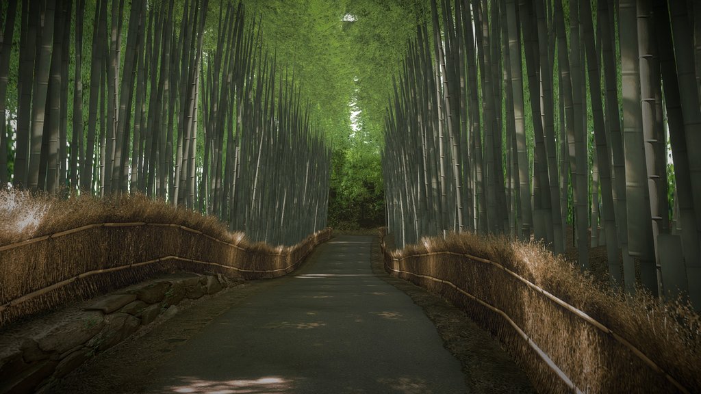 Sagano Bamboo Forest