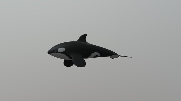 Orca 3D Model