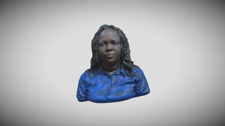 FEYIOBJ OBJ 3D Model