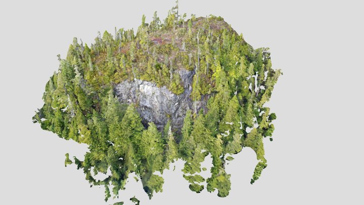 Baranof Warm Springs Knob 3D Model