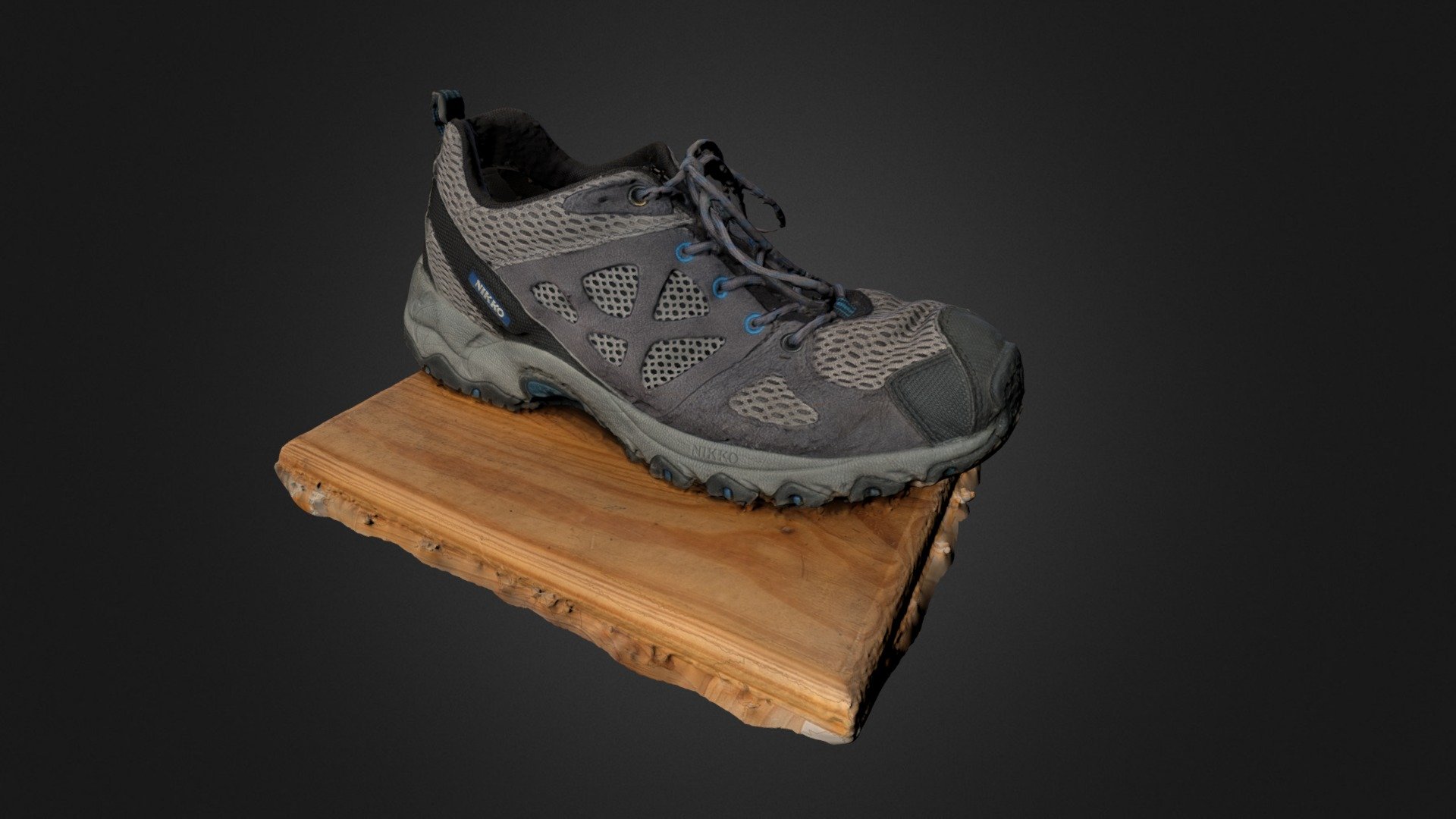Shoe