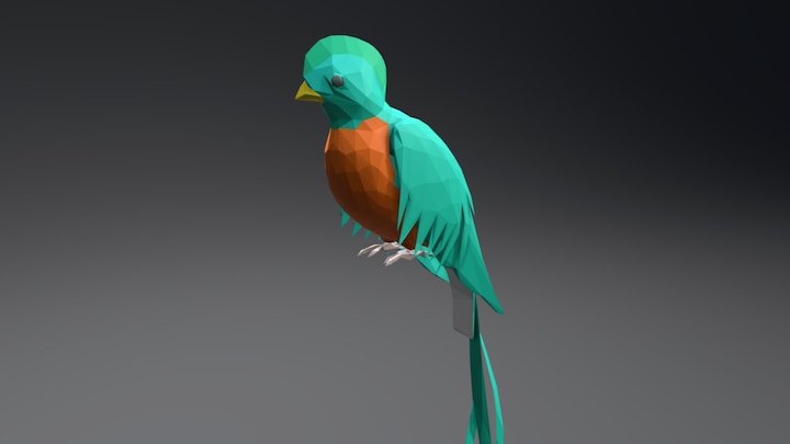 Quetzal (Pharomachrus mocinno) 3D Model