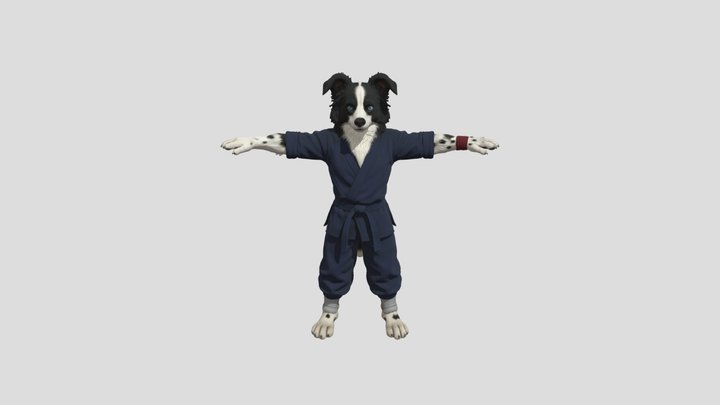 Crash the Border Collie – Iron Paw Strategist 3D Model