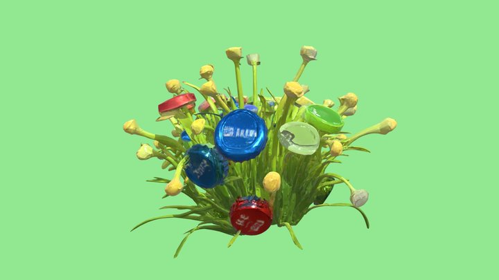 Bottle Grass Plant