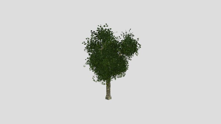 Low-Poly Tree 3D Model
