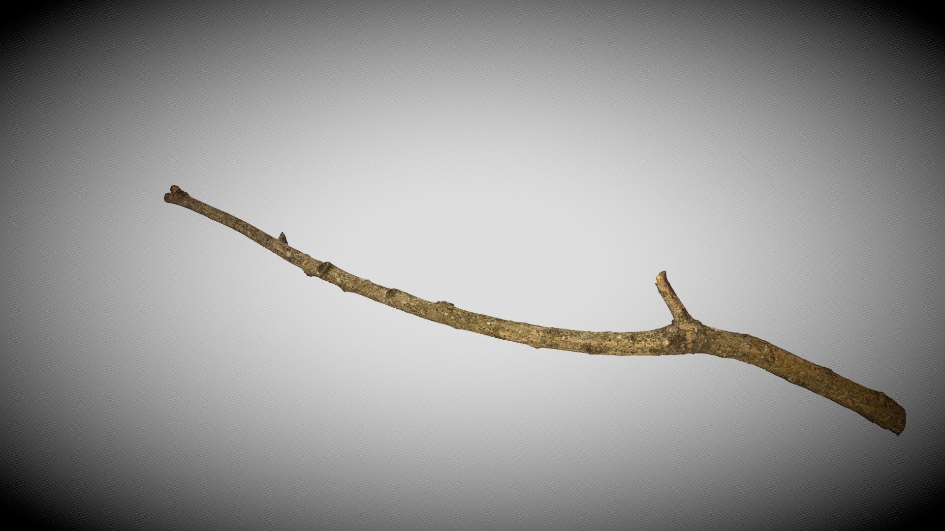 Backyard Stick LOD0 - Download Free 3D model by Youcoulddoworse ...