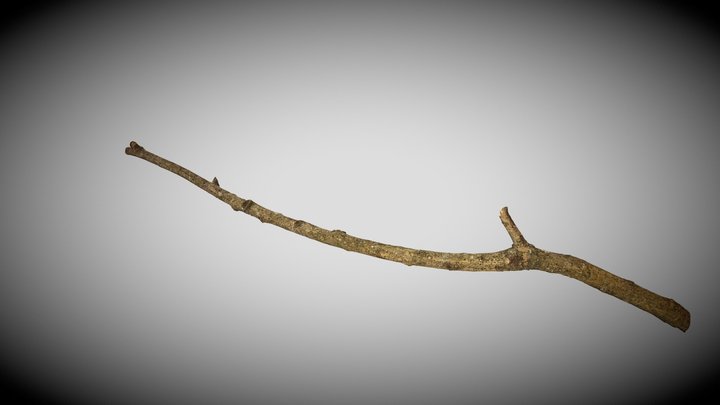 Backyard Stick LOD0 3D Model