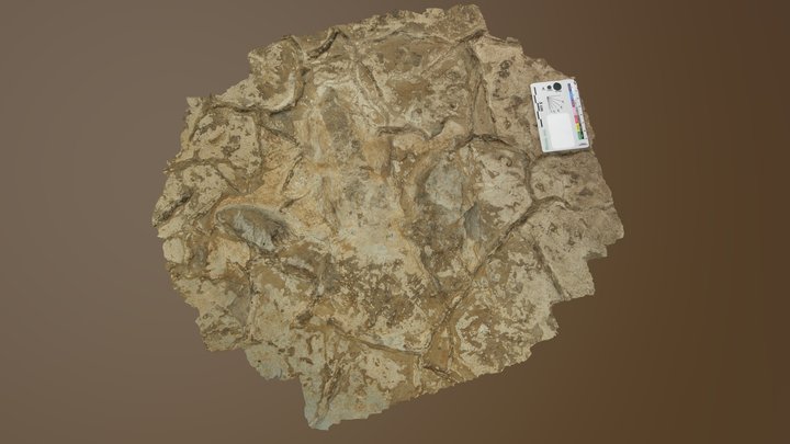 Dinosaur negative footprint (Capellan, France) 3D Model