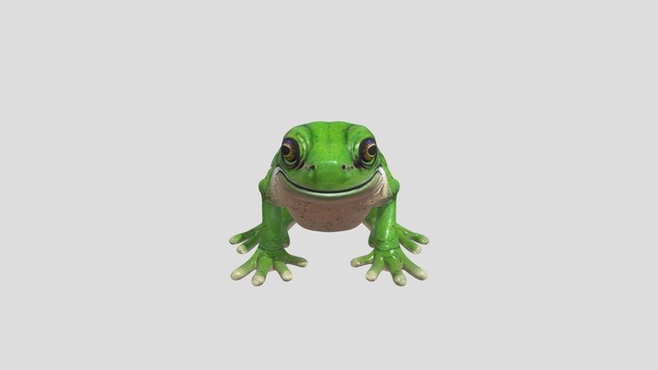 Australian Tree Frog 3D Model