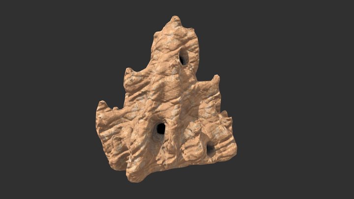 Antion Nest 3D Model