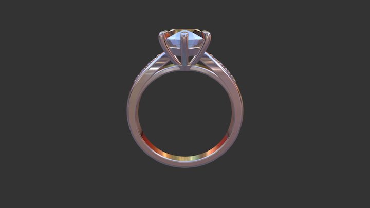 TP Custom Ring 3D Model