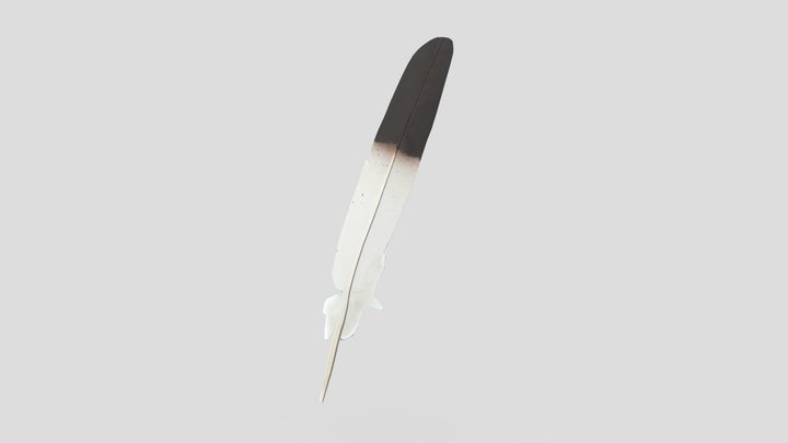 Feather 2 3D Model