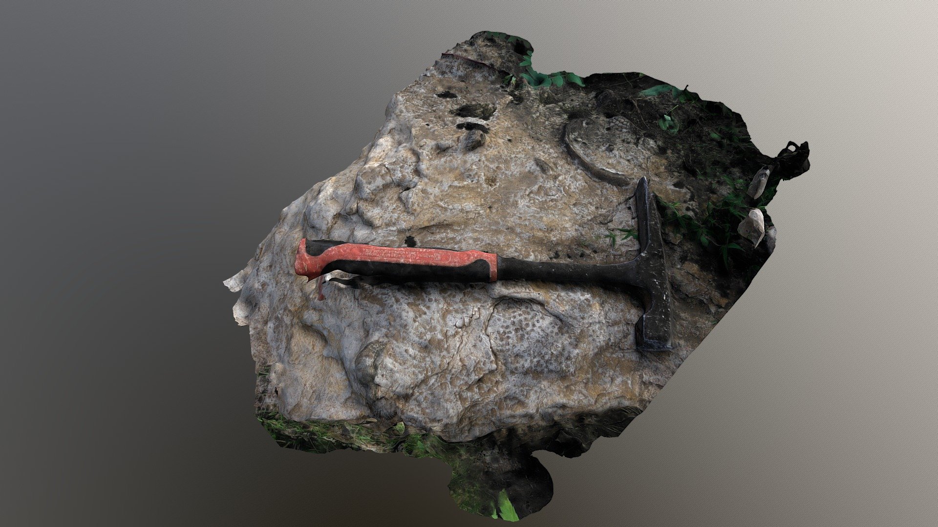 Fossilferrous limestone