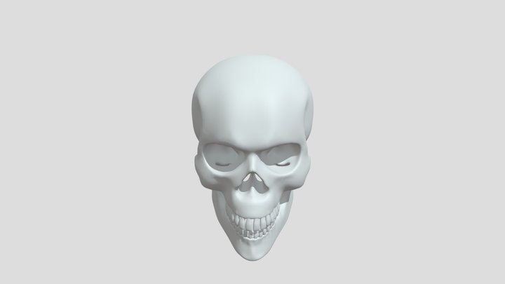 Skull 3D Model
