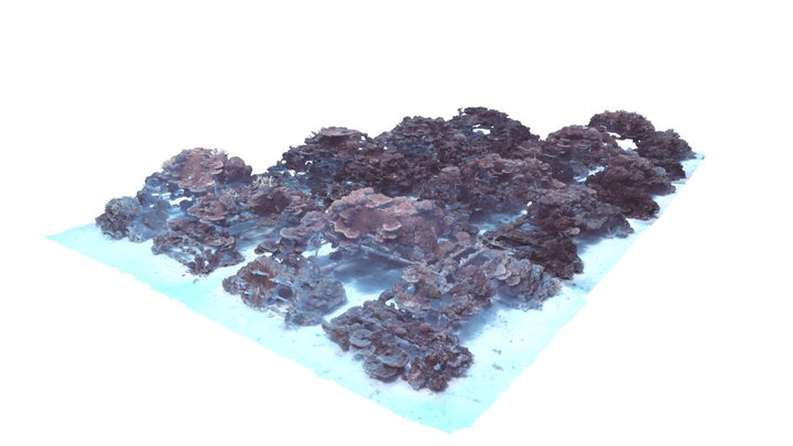 The Coral Pyramids (Sheraton Maldives) 3D Model