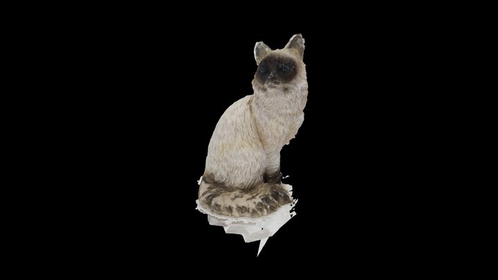 UNEDITED - Ceramic Cat (3DF Zephyr Edu) 3D Model