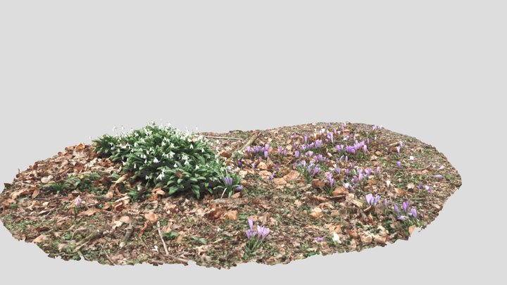 Christiansen Park 3D Model