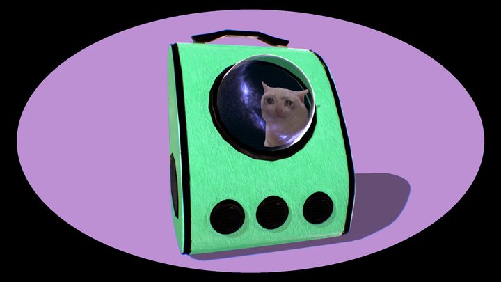 Sad Cat in a Backpack 3D Model